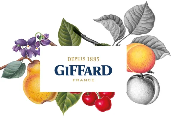 Аксесуари GIFFARD
